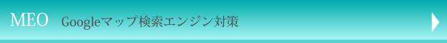 MEO Googleマップ検索エンジン対策