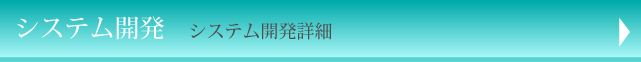 システム開発 システム開発詳細