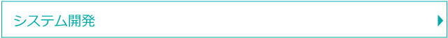 システム開発